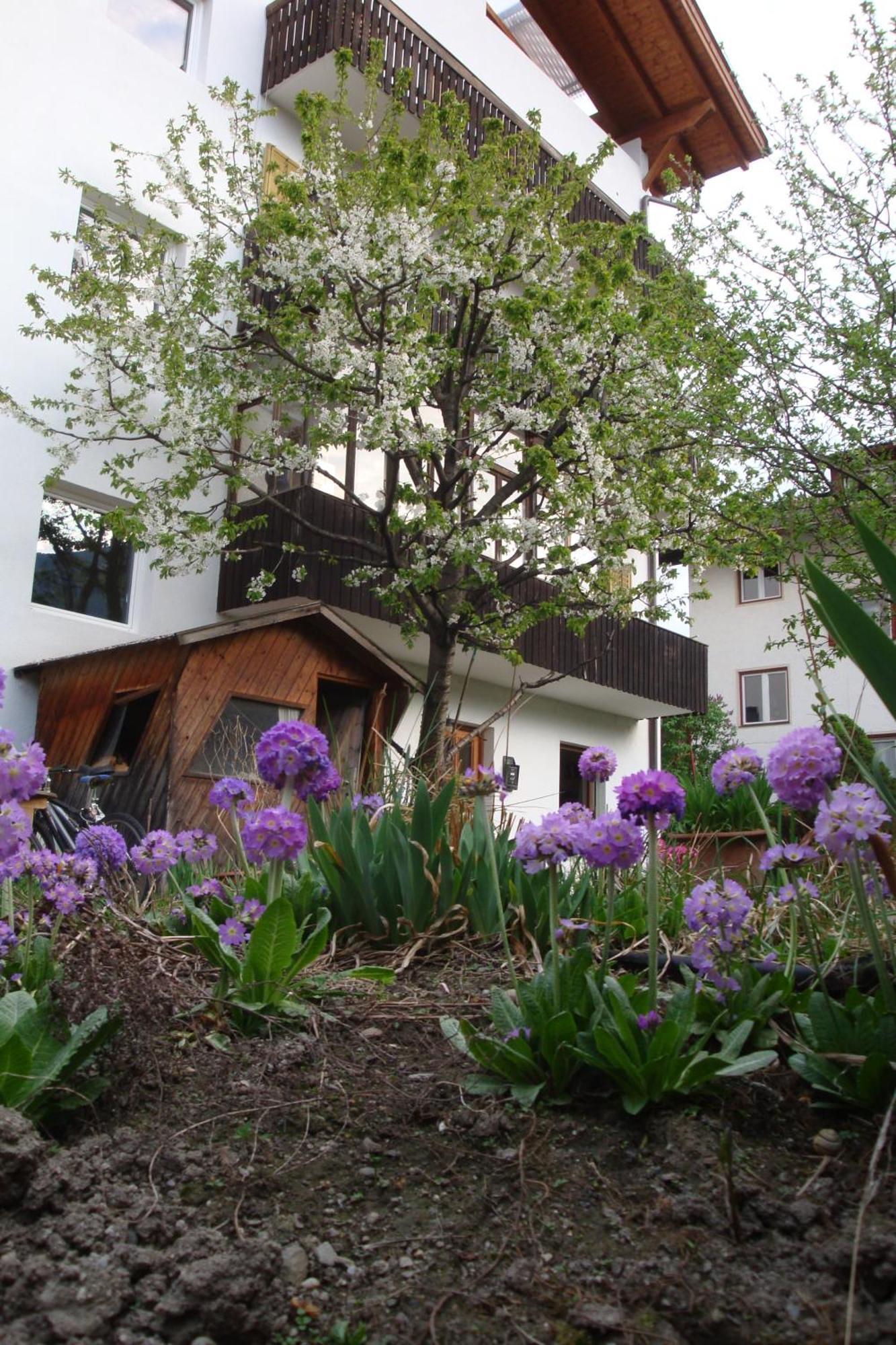Residence Hofer Bressanone Exterior photo